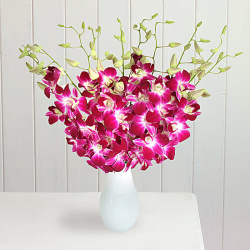 Bali Hai Next Day Flowers Delivered Cheap Flower Delivery