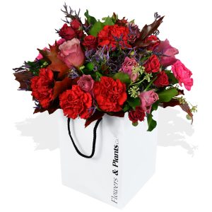 Carnation and Roses