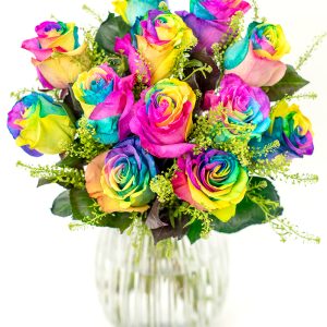 Rainbow Roses