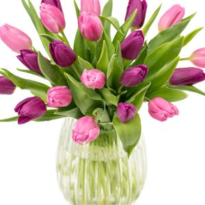Simply Tulips