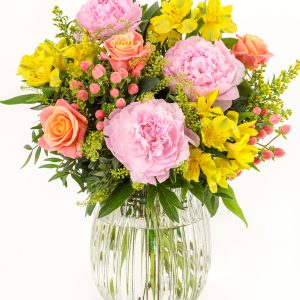 Peony Sunset