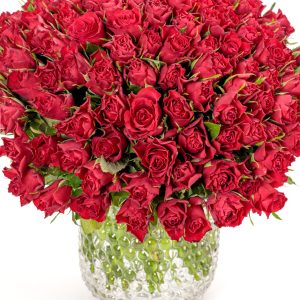 100 Red Roses