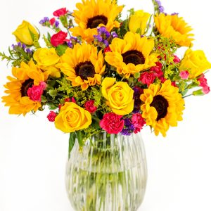Sunflower Garden