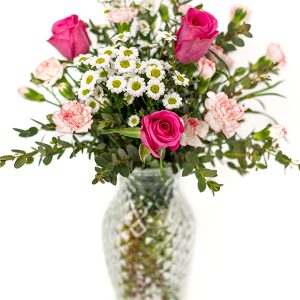 Blushing Daisies