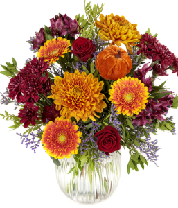 Pumpkin Patch