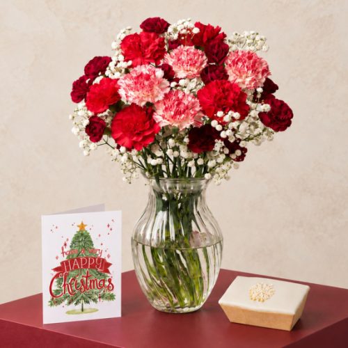 Christmas Cake Gift